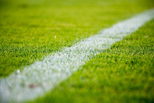 (c) https://pixabay.com/de/gras-rasen-feld-sport-fußball-2616911/